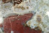Polished Orbicular Ocean Jasper Heart - Madagascar #206683-2